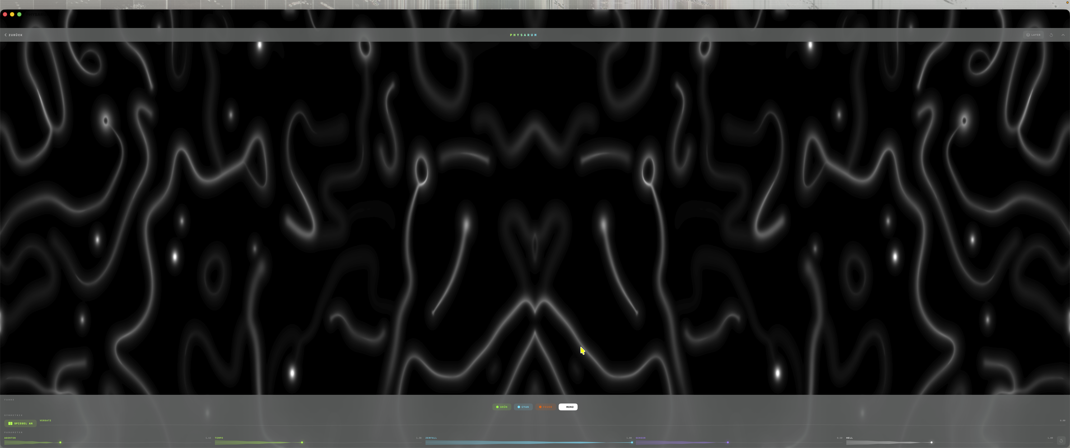 Physarum Visual