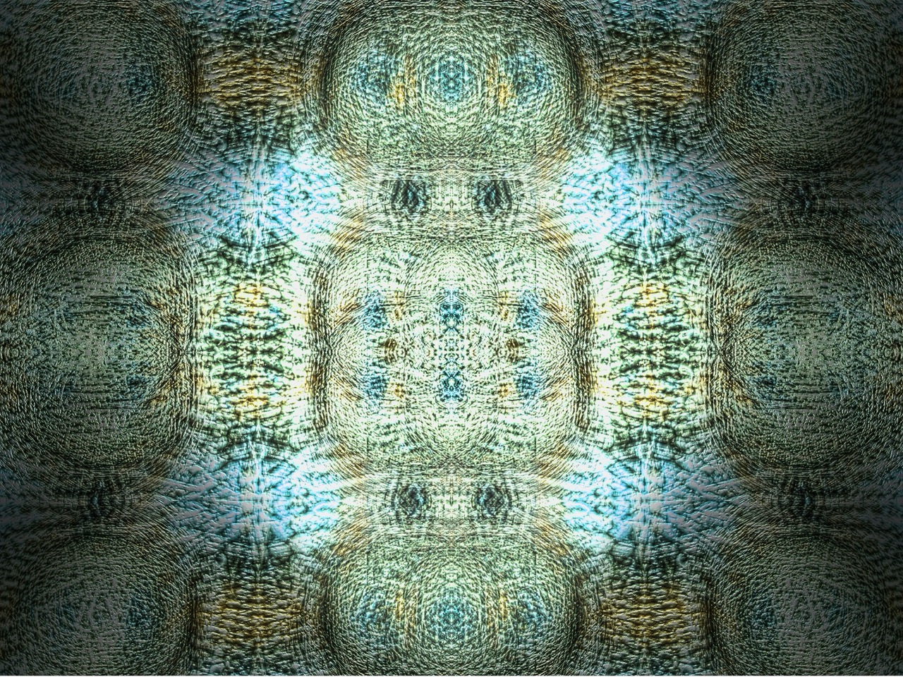 Portfolio Werk