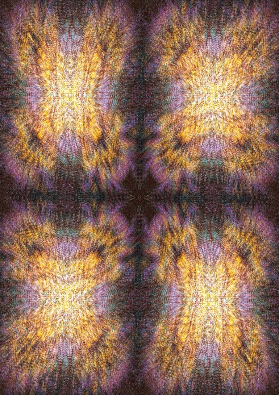 Portfolio Werk