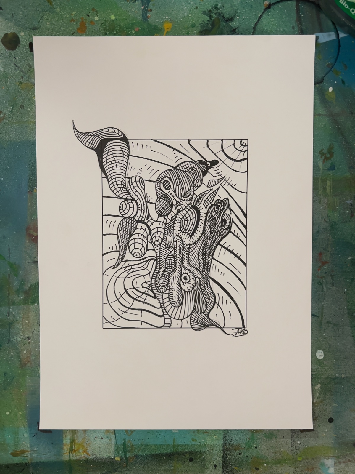 Portfolio Werk