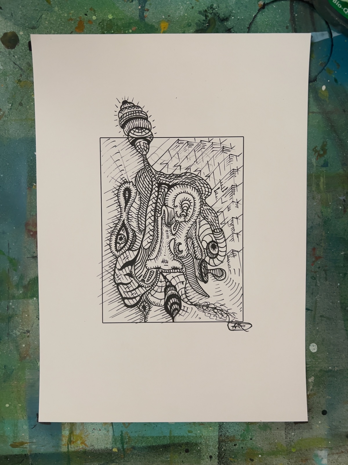 Portfolio Werk