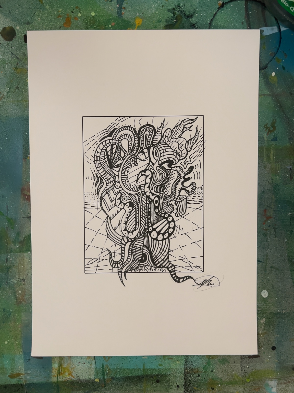 Portfolio Werk