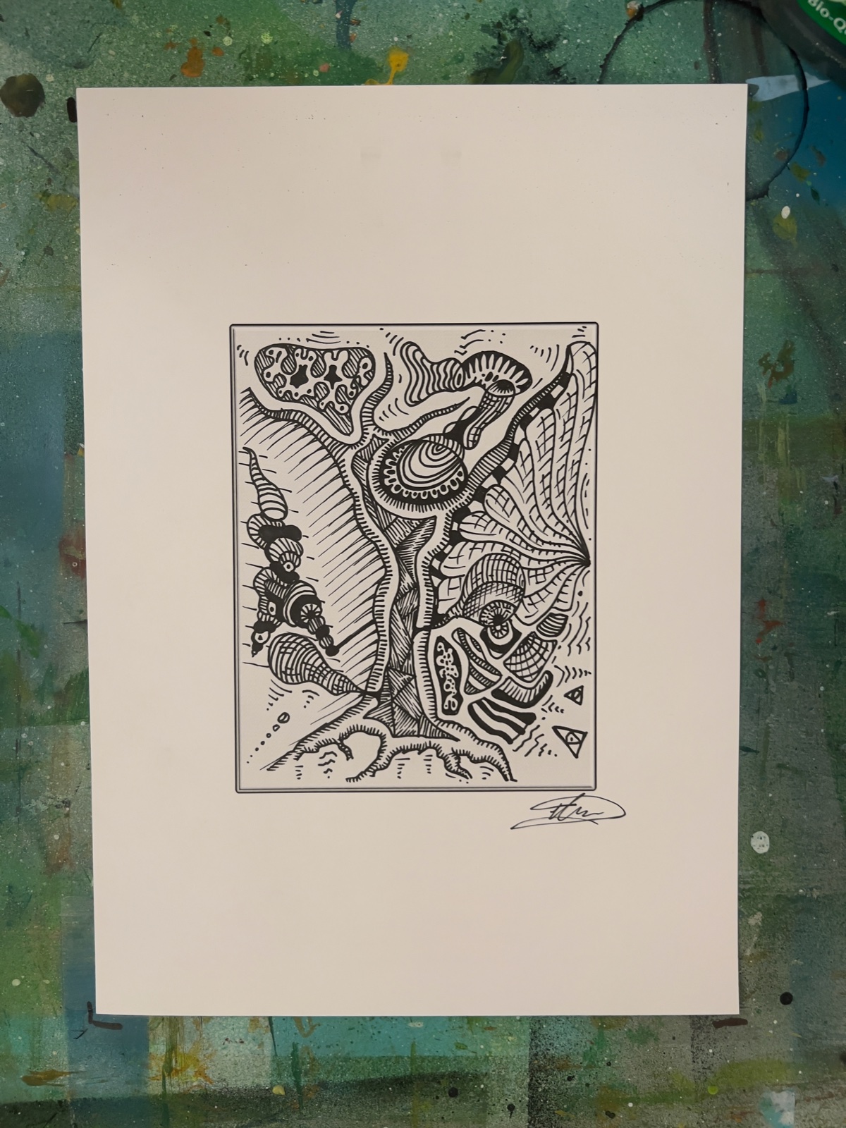 Portfolio Werk