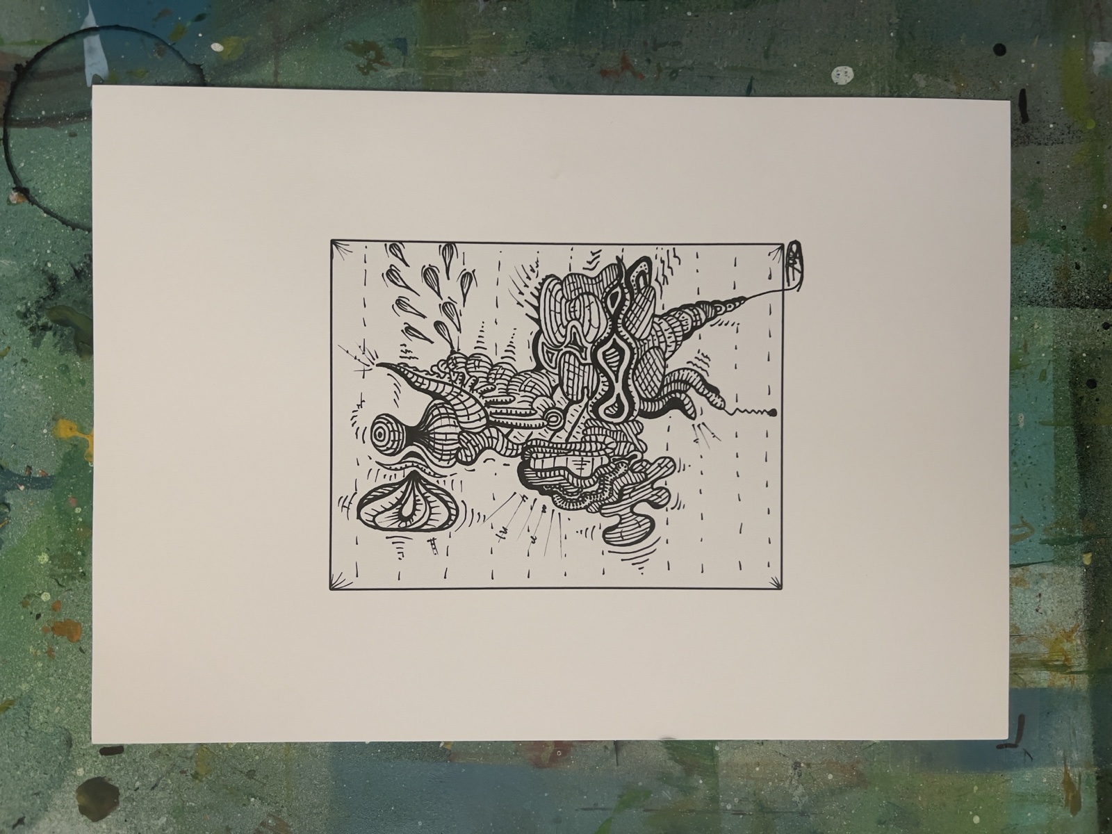 Portfolio Werk