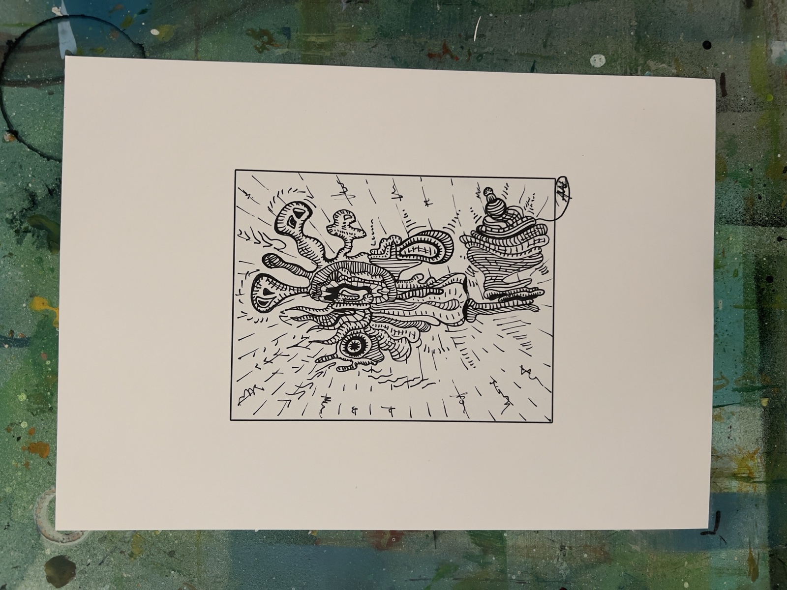 Portfolio Werk