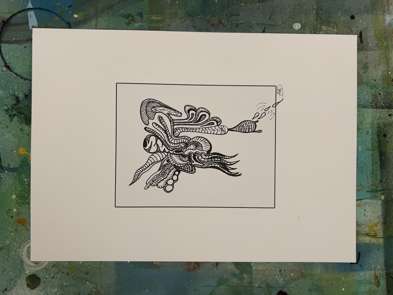 Portfolio Werk